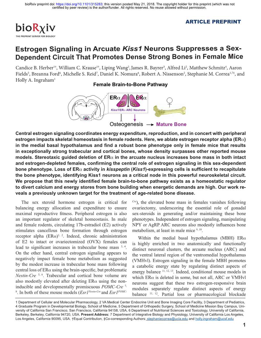 Estrogen Signaling in Arcuate Kiss1 Neurons Suppresses a Sex- Dependent Circuit That Promotes Dense Strong Bones in Female Mice Candice B