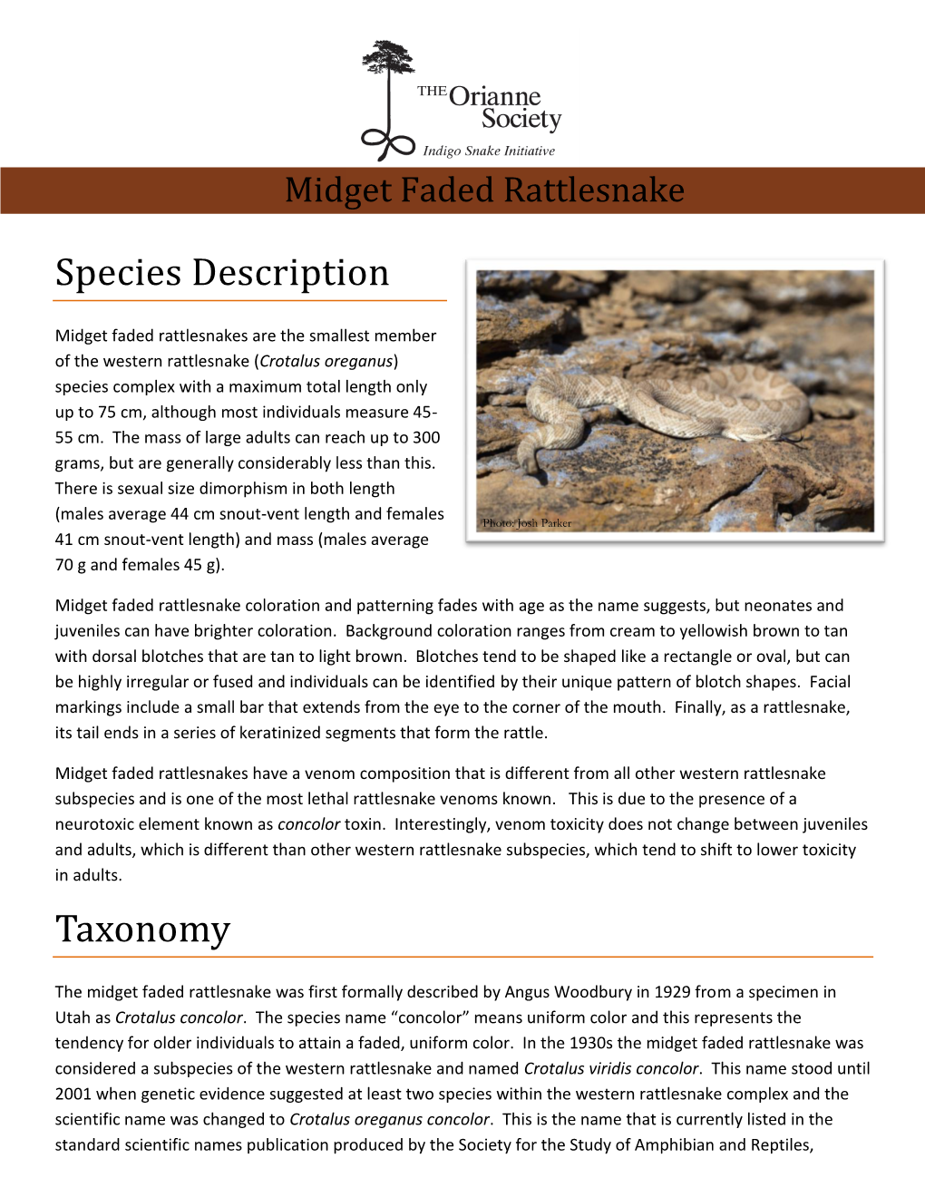 Species Description Taxonomy
