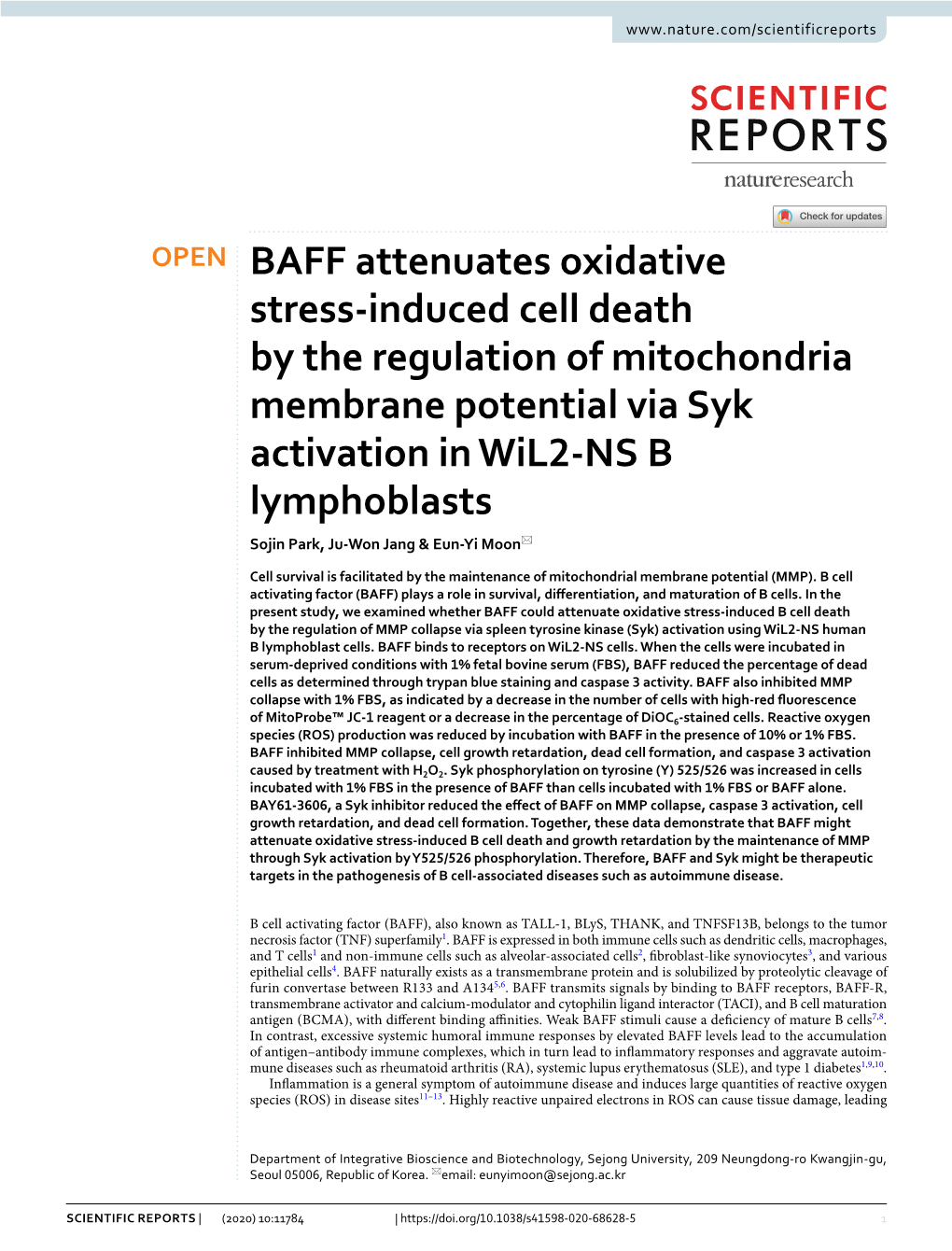 BAFF Attenuates Oxidative Stress-Induced Cell Death by The