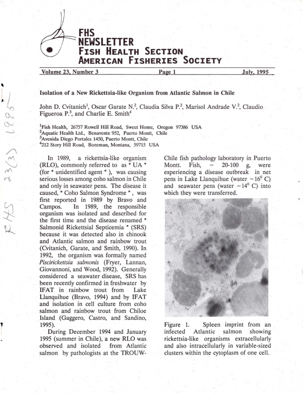 Vol. 23(3) July 1995. Isolation of a New Rickettsia-Like Organism