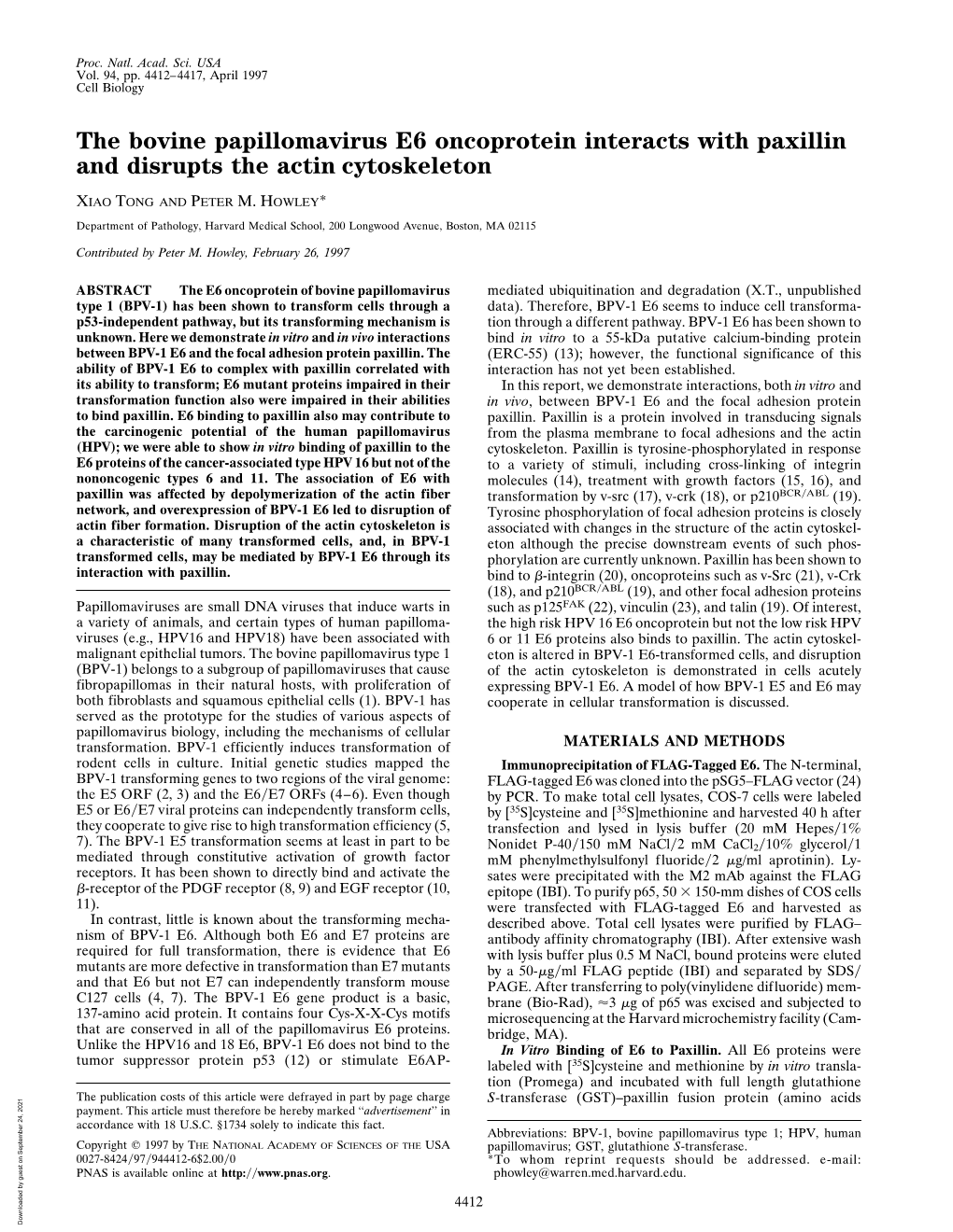 The Bovine Papillomavirus E6 Oncoprotein Interacts with Paxillin and Disrupts the Actin Cytoskeleton