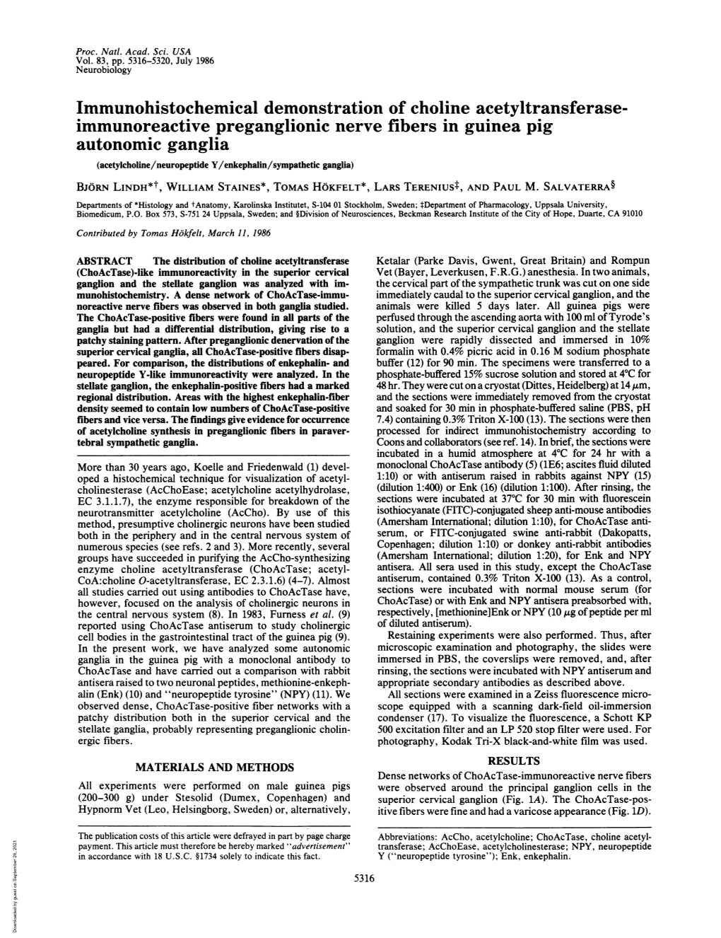 Immunoreactive Preganglionic Nerve Fibers in Guinea Pig Autonomic