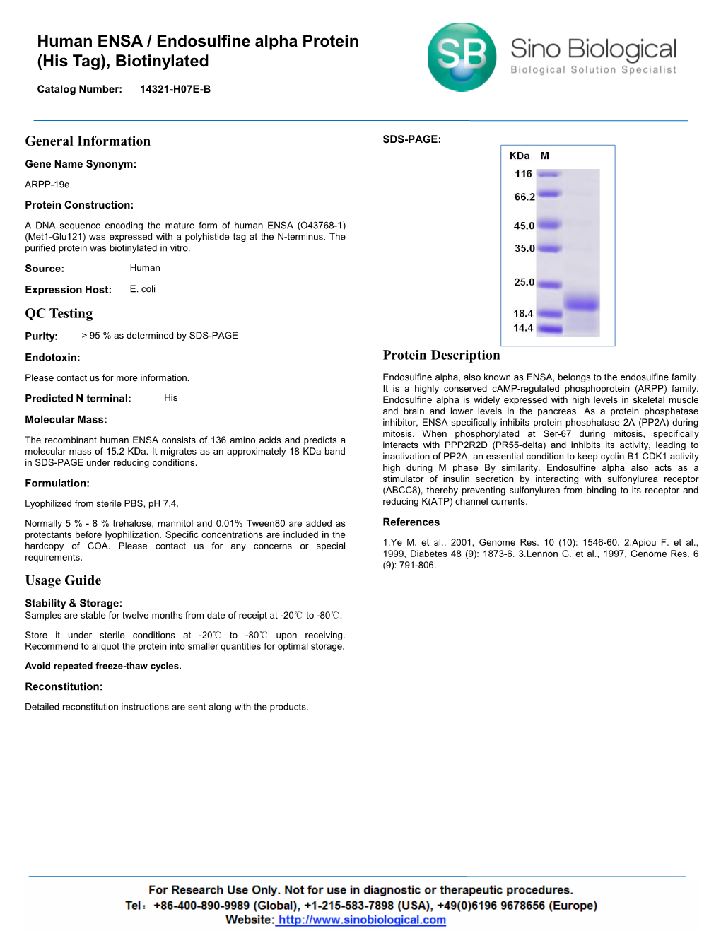 Human ENSA / Endosulfine Alpha Protein (His Tag), Biotinylated