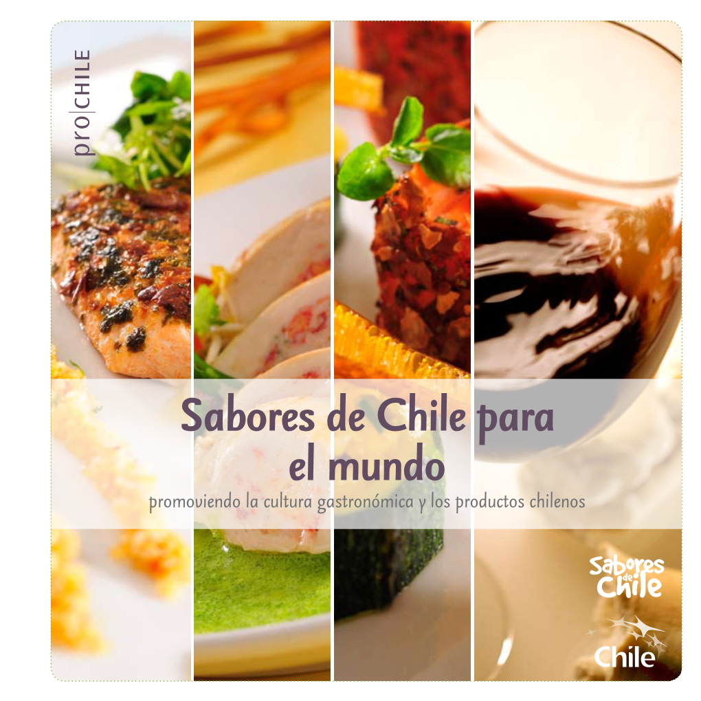 Sabores De Chile Para El Mundo Promoviendo La Cultura Gastronómica Y Los Productos Chilenos Sabores De Chile Para El Mundo