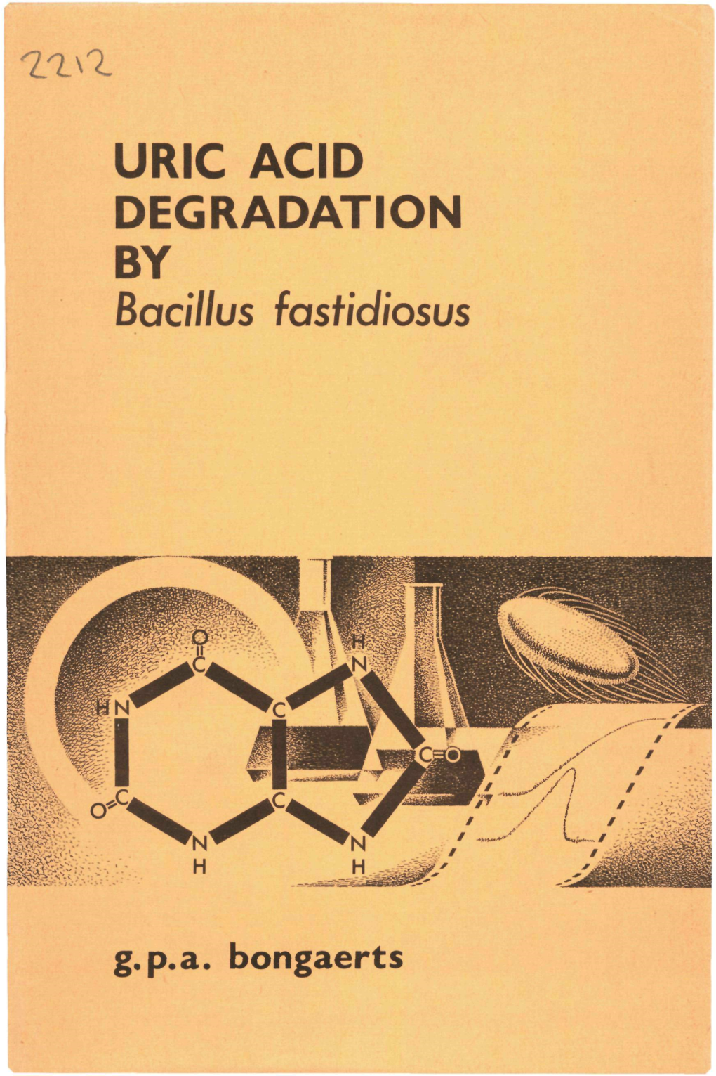 URIC ACID DEGRADATION by ßac/7/Us Fastidiosus