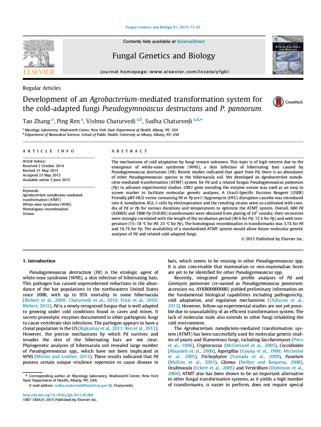 Development of an Agrobacterium-Mediated