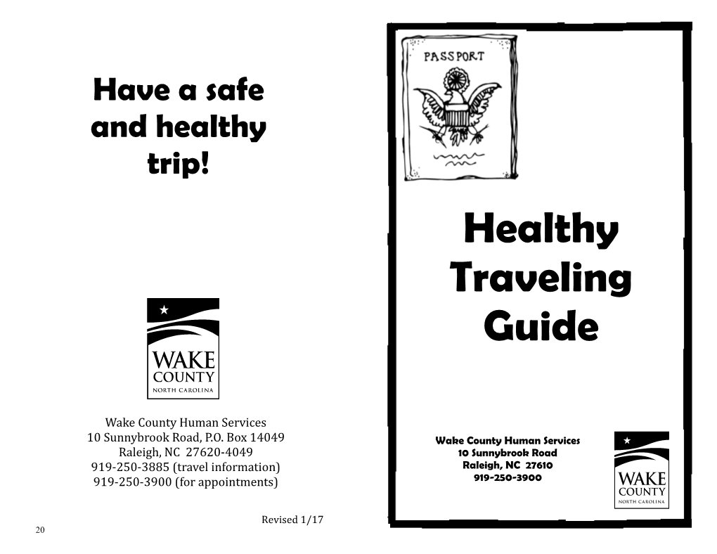 Healthy Traveling Guide