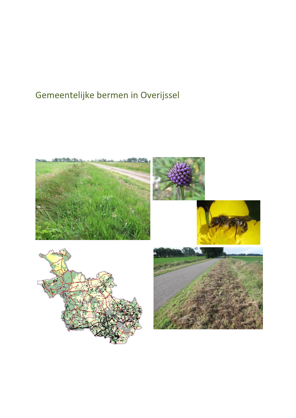 Gemeentelijke Bermen in Overijssel