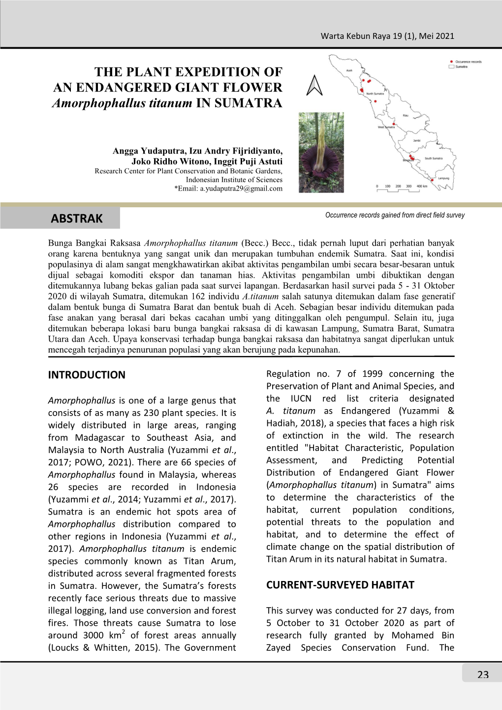 THE PLANT EXPEDITION of an ENDANGERED GIANT FLOWER Amorphophallus Titanum in SUMATRA