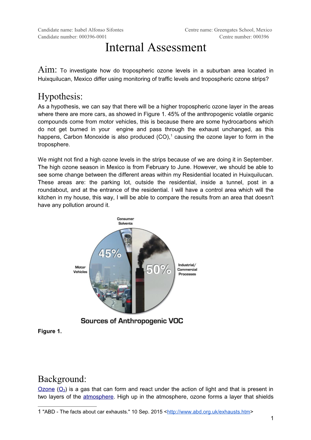 Candidate Name: Isabel Alfonso Sifontes Centre Name: Greengates School, Mexico