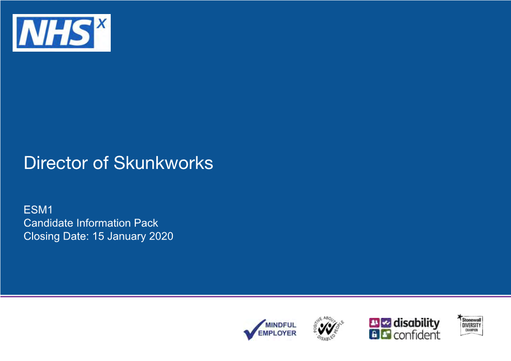 Director of Skunkworks