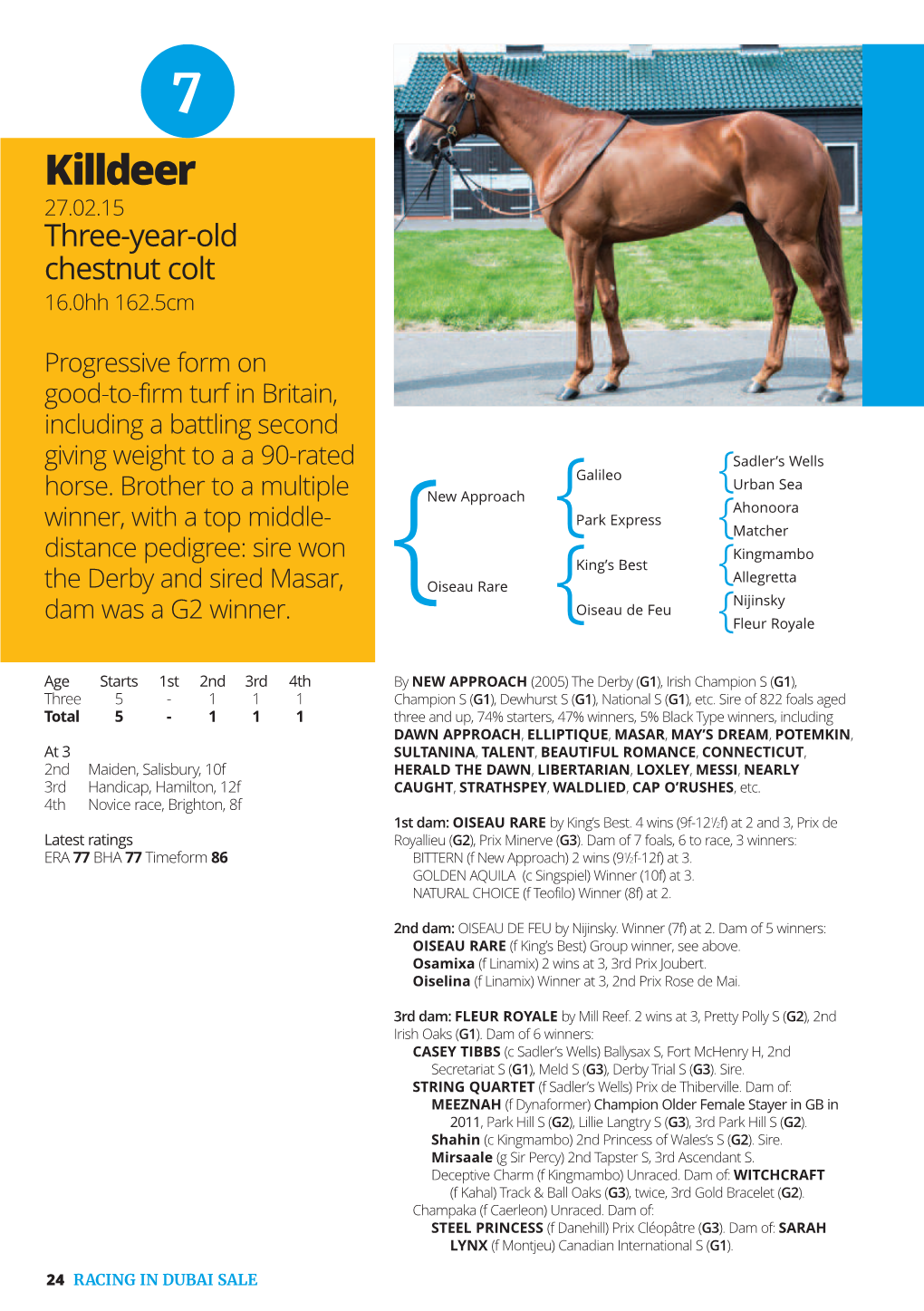 Page 1 24 RACING in DUBAI SALE Killdeer 27.02.15 Three-Year