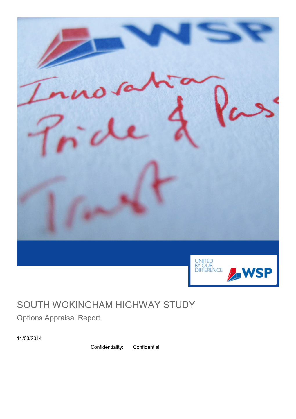 SOUTH WOKINGHAM HIGHWAY STUDY Options Appraisal Report