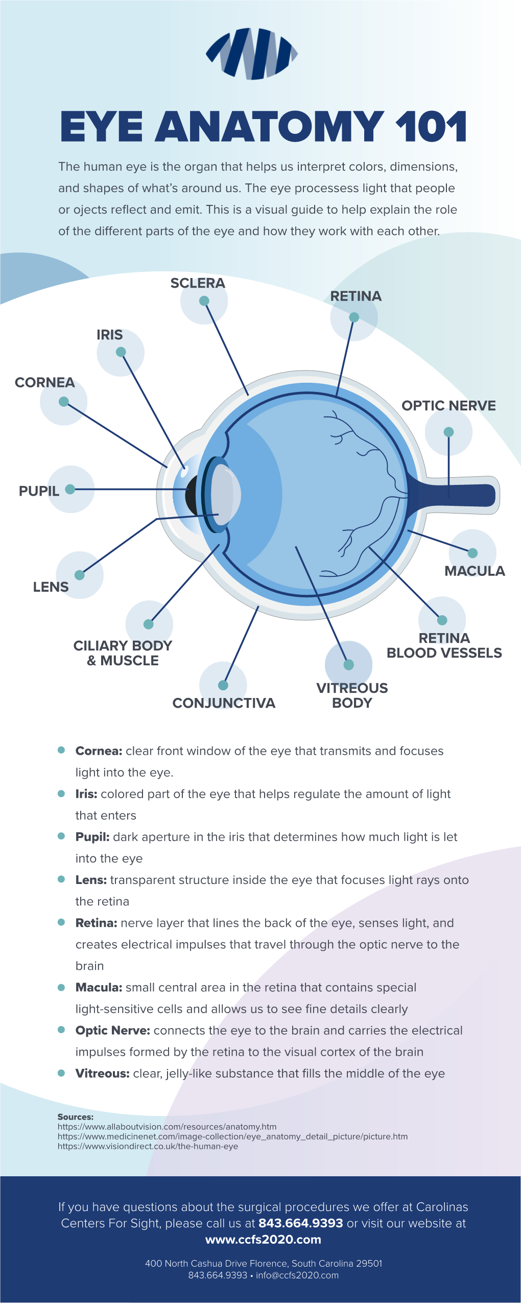 Pupil Cornea Iris Sclera Retina Optic Nerve Lens