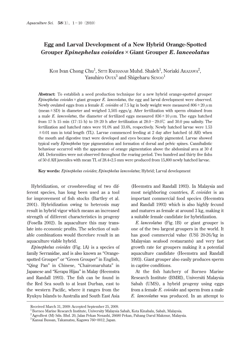 Egg and Larval Development of a New Hybrid Orange-Spotted Grouper Epinephelus Coioides×Giant Grouper E