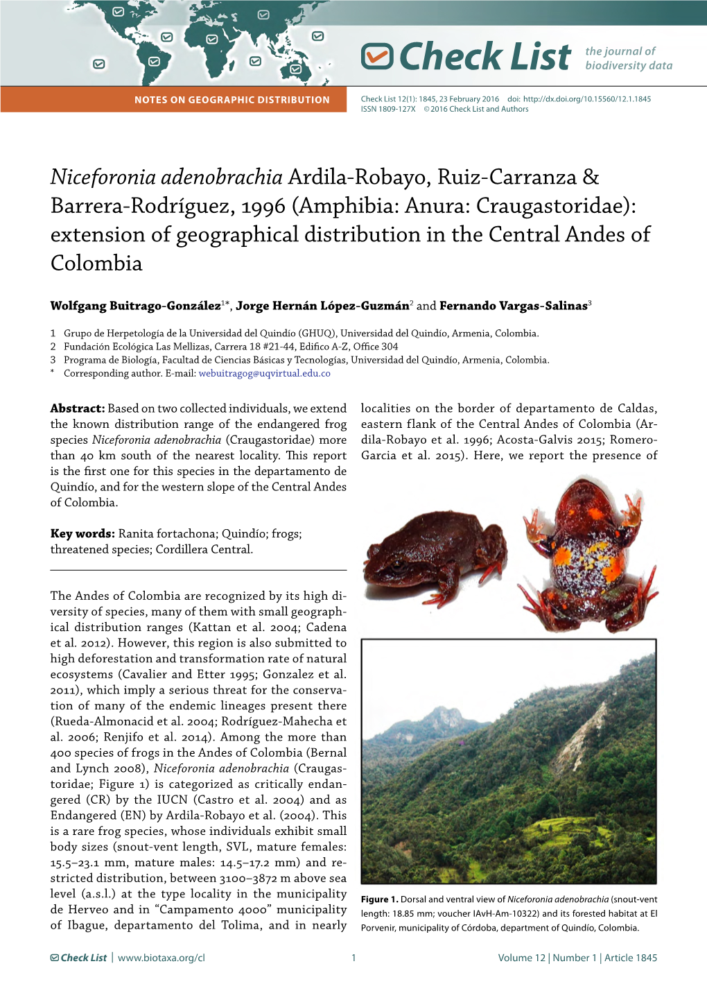 Niceforonia Adenobrachia Ardila-Robayo, Ruiz-Carranza