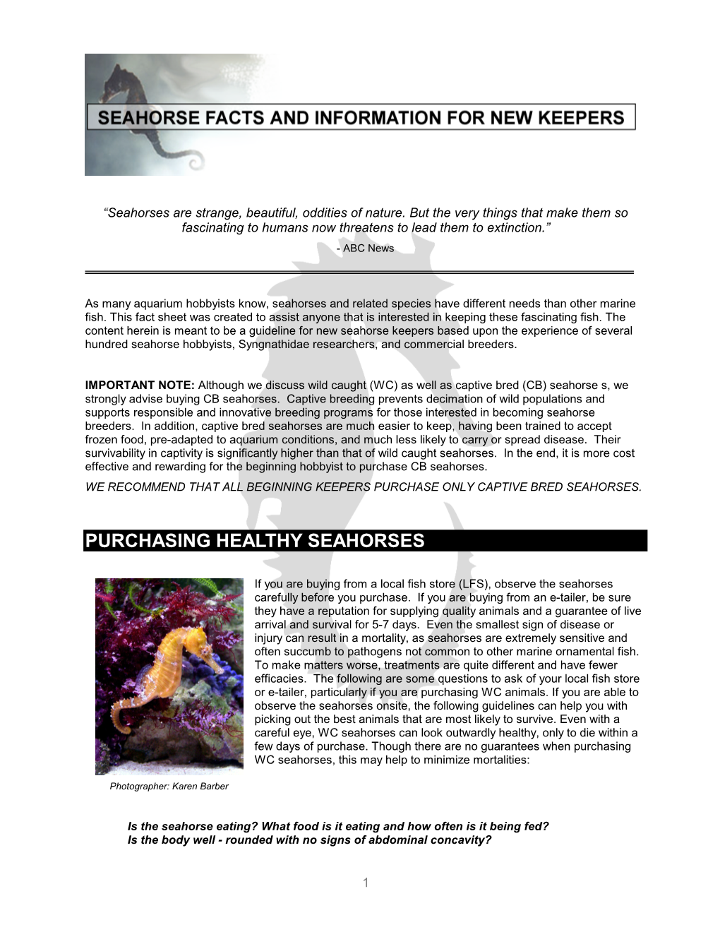 Seahorse Facts and Information for New Keepers