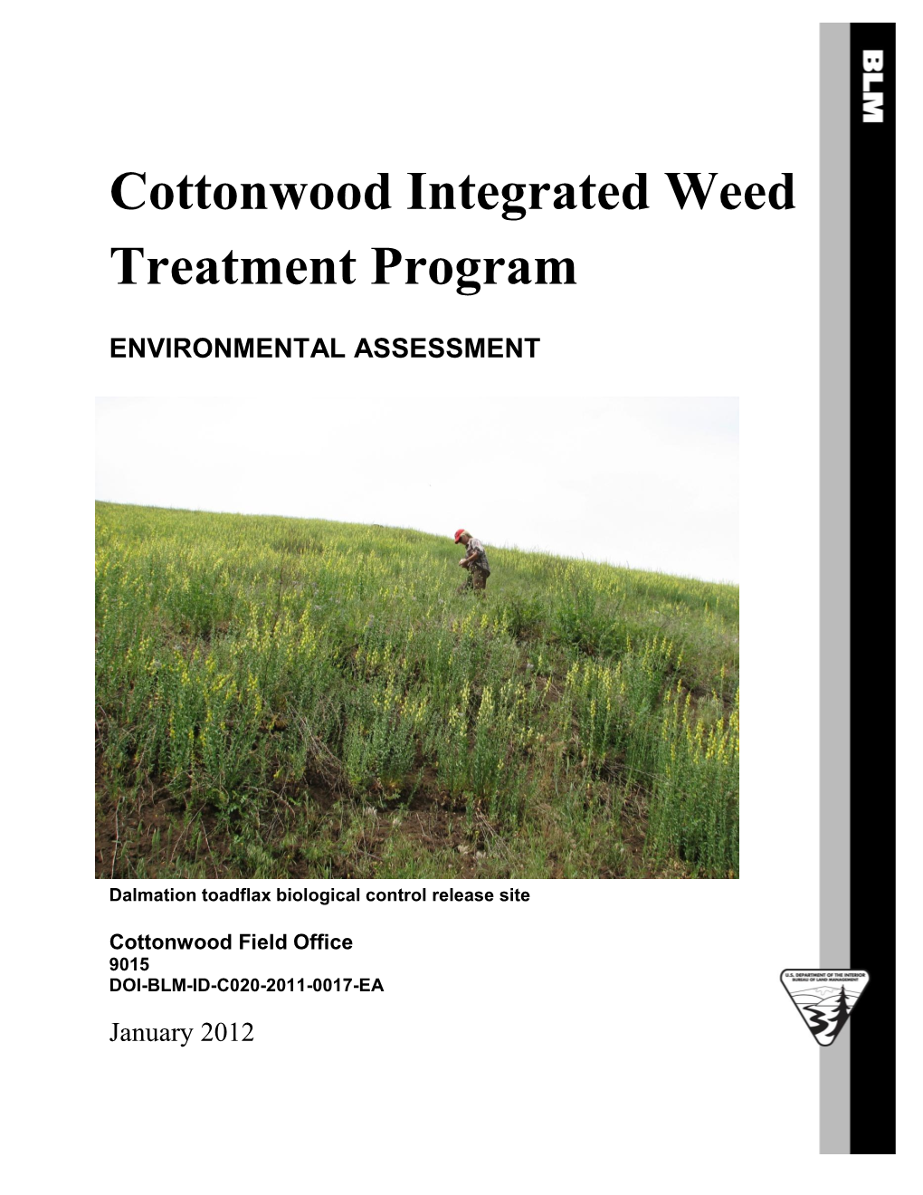 Cottonwood Weed Treatment