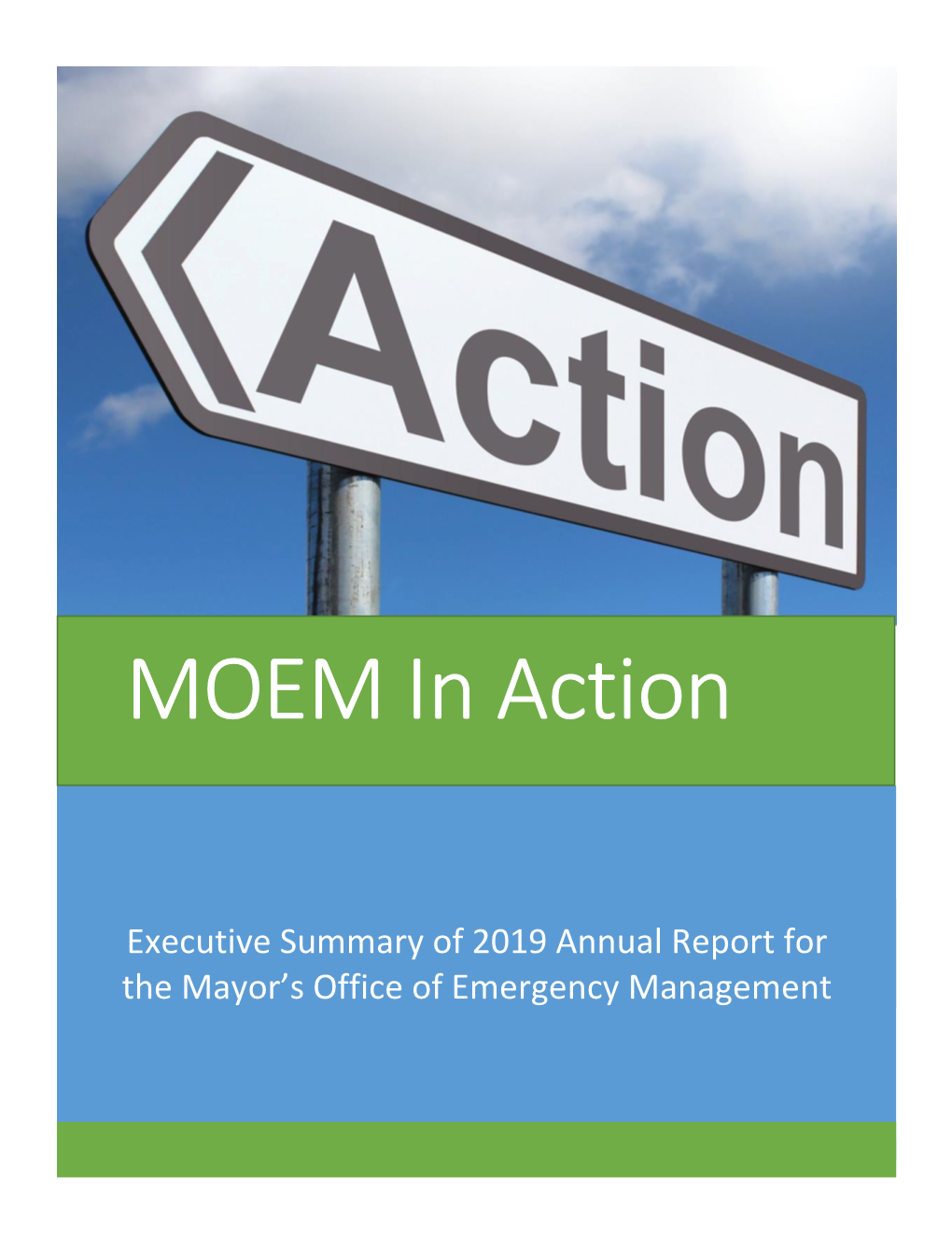 2019 OEM Annual Report