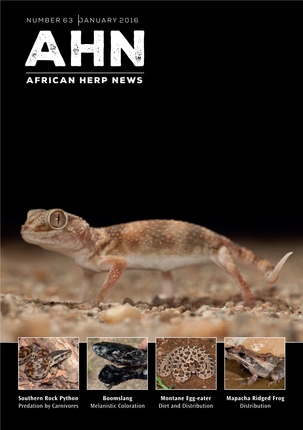 AFRICAN HERP NEWS Number 63 | January 2016