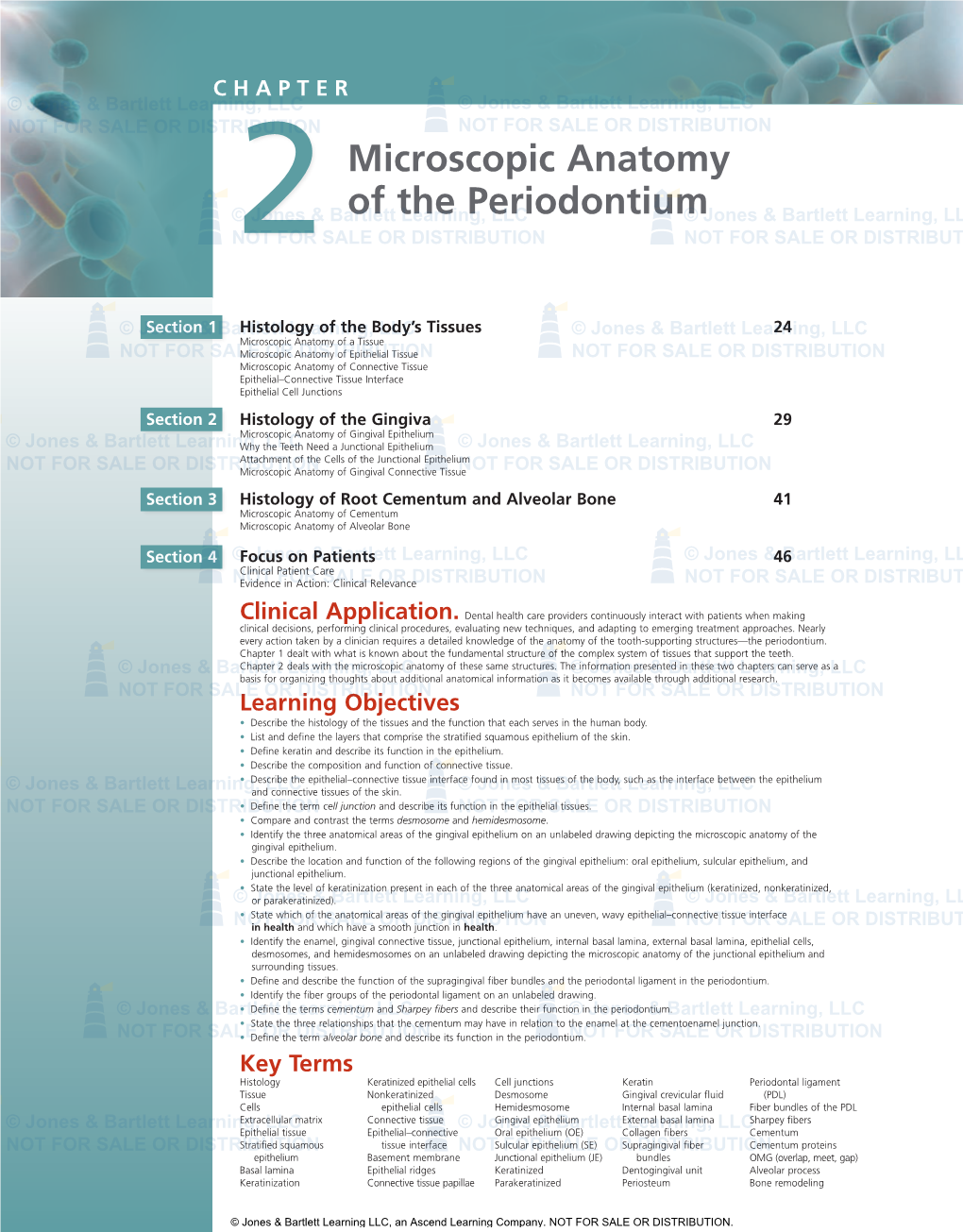 Microscopic Anatomy of the Periodontium