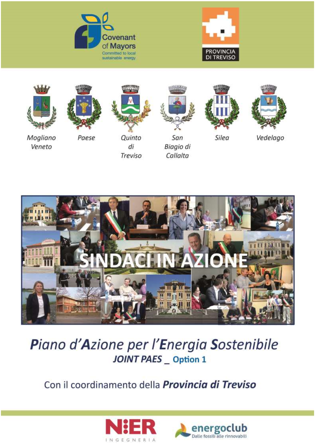 Piano D'azione Per L'energia Sostenibile)