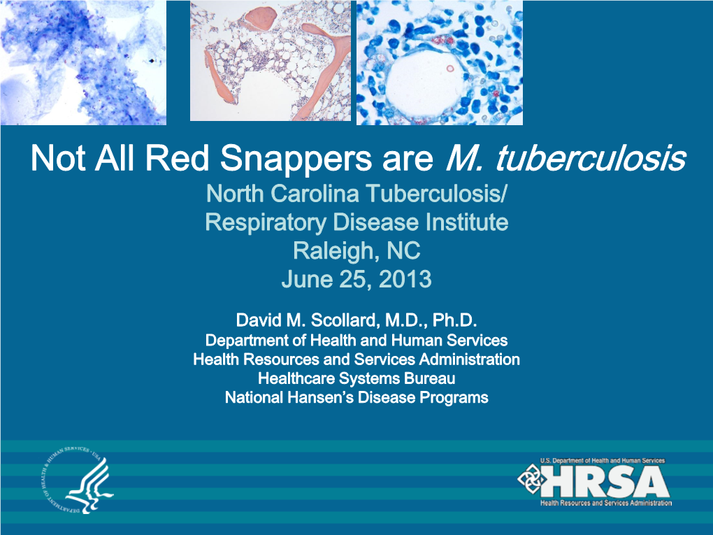 Not All Red Snappers Are M. Tuberculosis North Carolina Tuberculosis/ Respiratory Disease Institute Raleigh, NC June 25, 2013