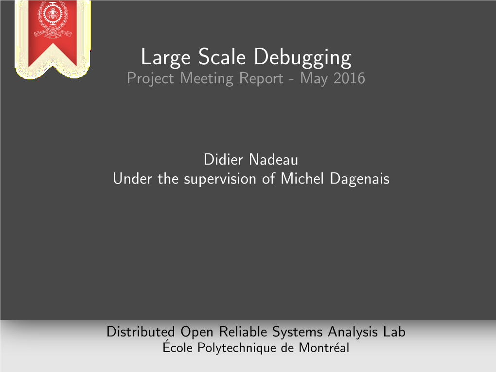 Large Scale Debugging Project Meeting Report - May 2016