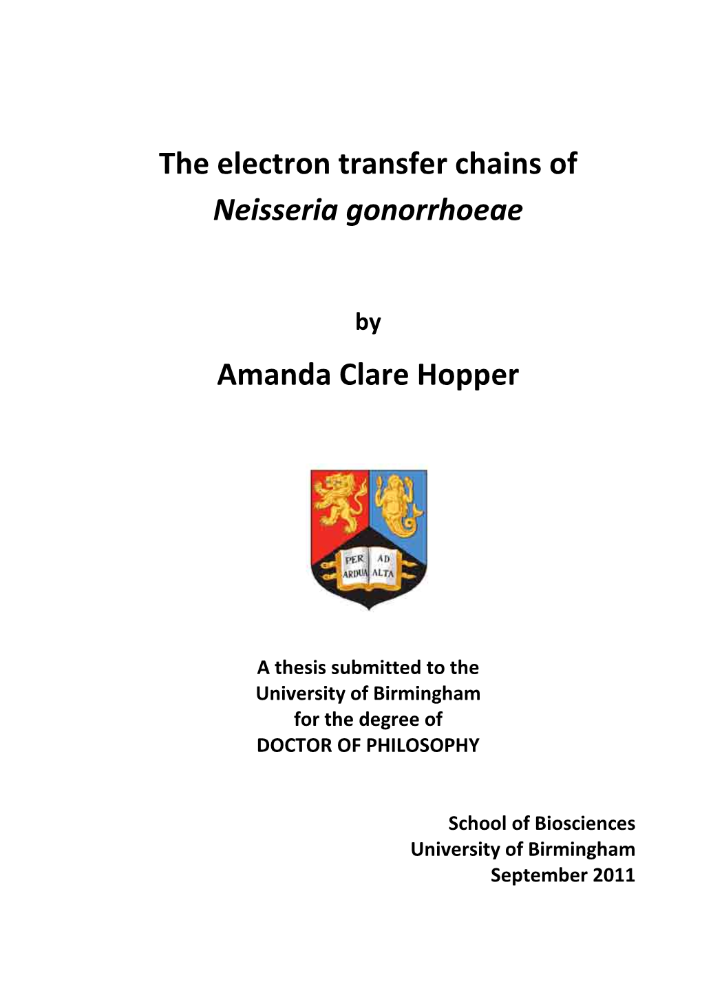 The Electron Transfer Chains of Neisseria Gonorrhoeae