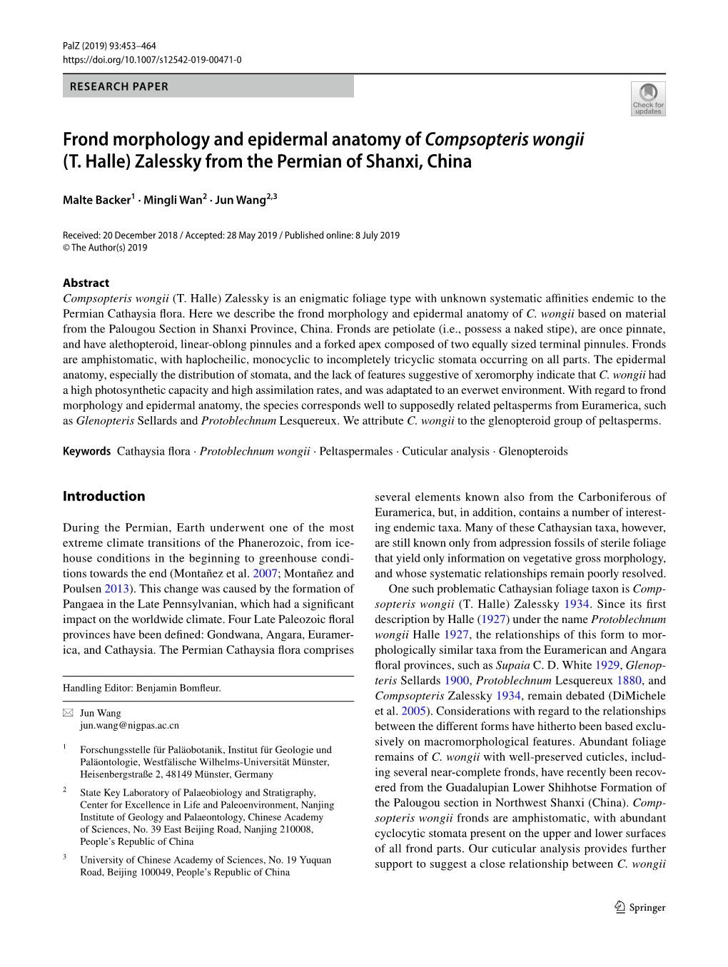 Frond Morphology and Epidermal Anatomy of Compsopteris Wongii (T