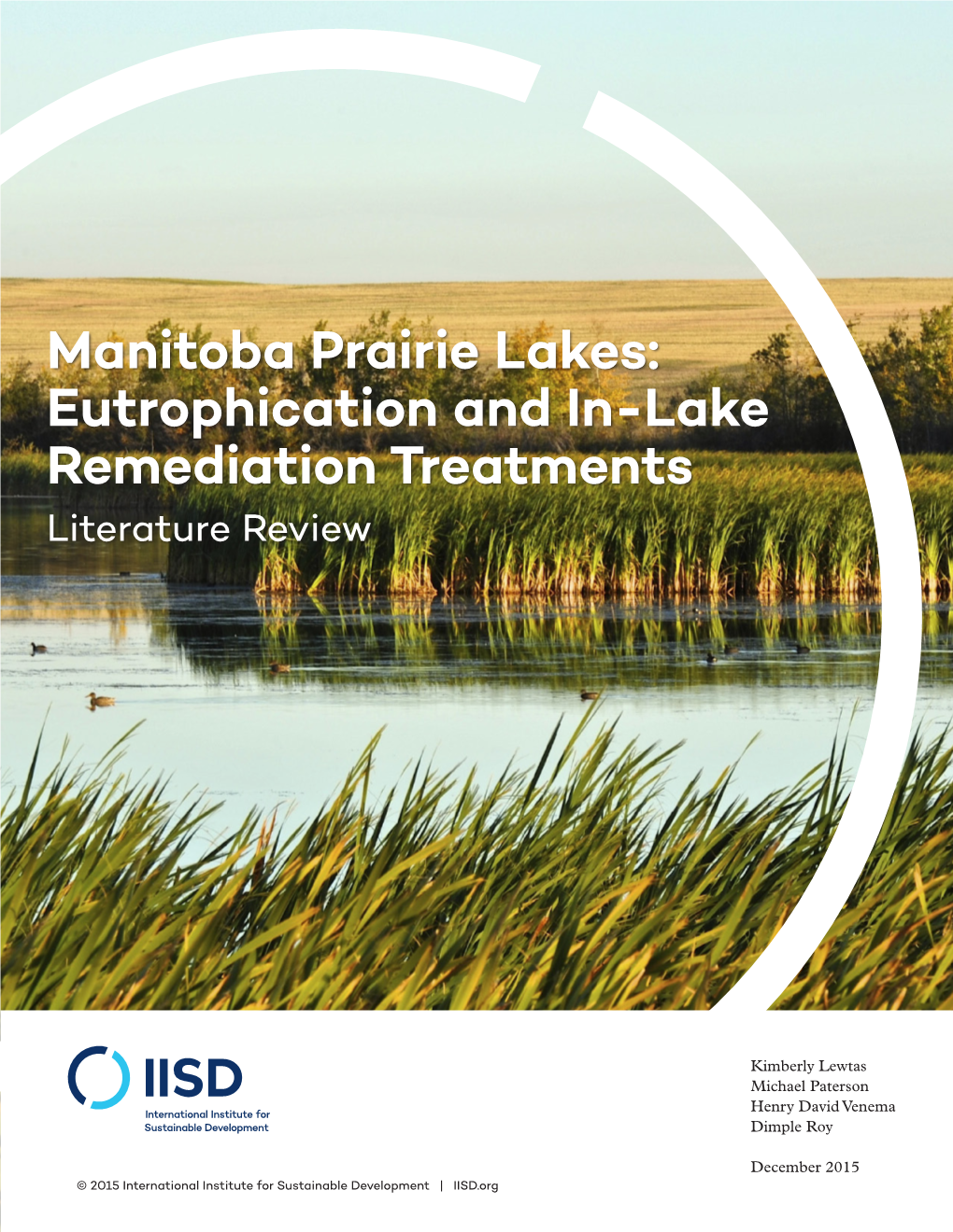 Eutrophication and In-Lake Remediation Treatments Literature Review