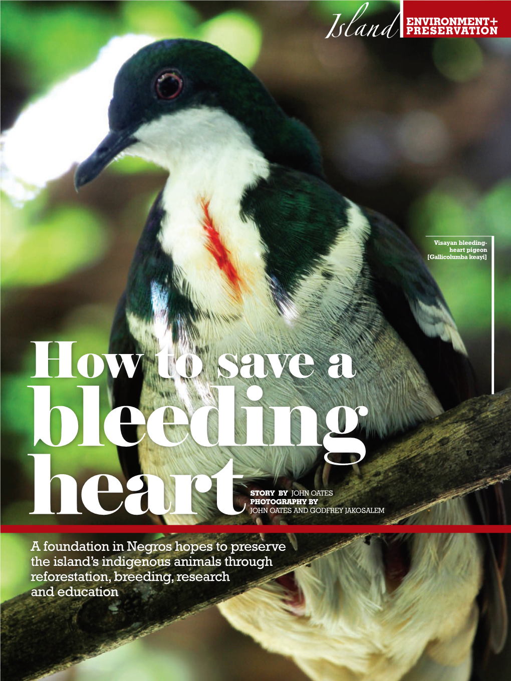 How to Save a Bleeding Heart
