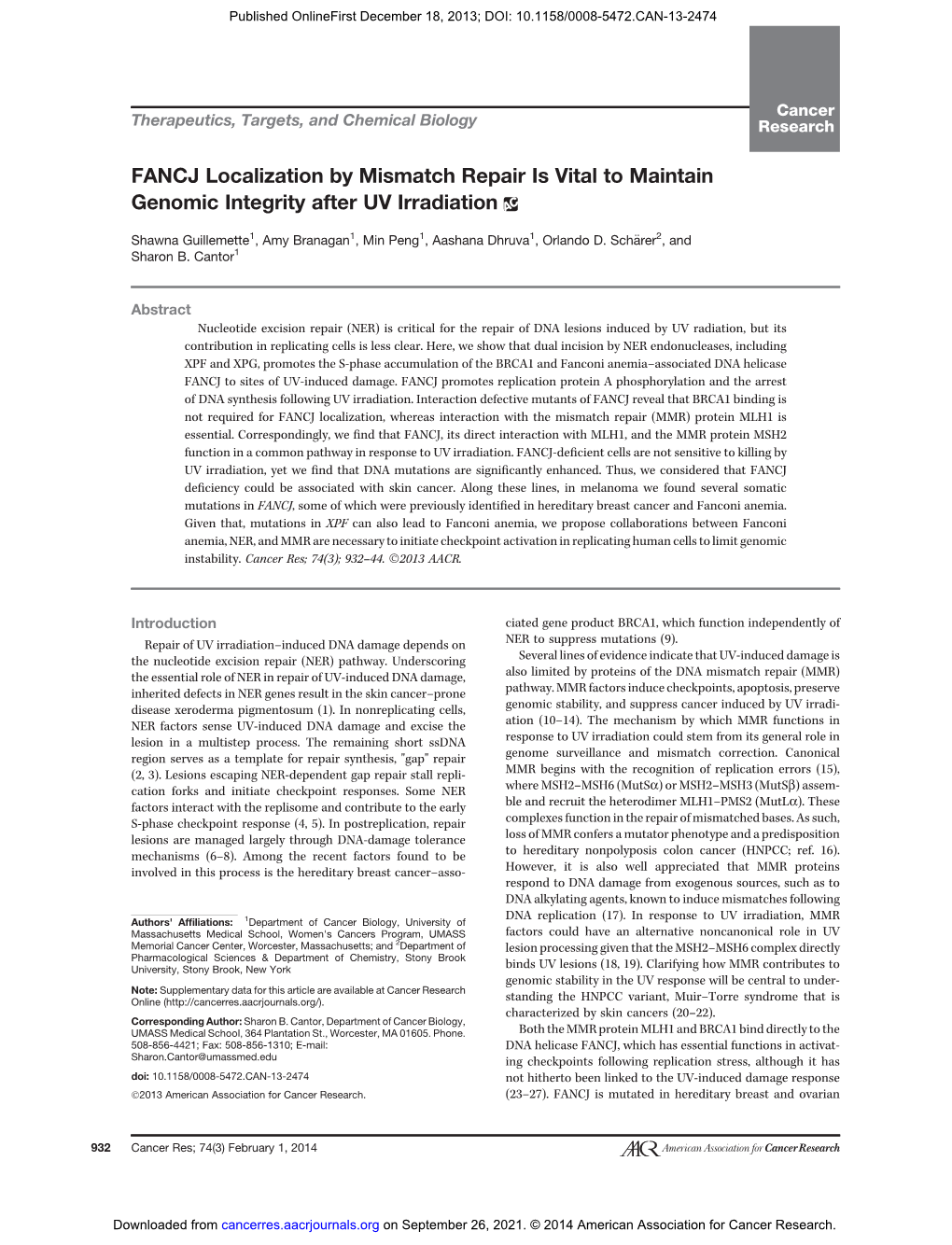 FANCJ Localization by Mismatch Repair Is Vital to Maintain Genomic Integrity After UV Irradiation