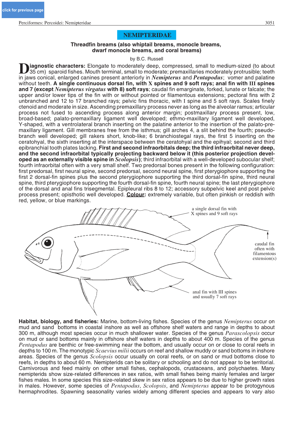 Nemipteridae 3051