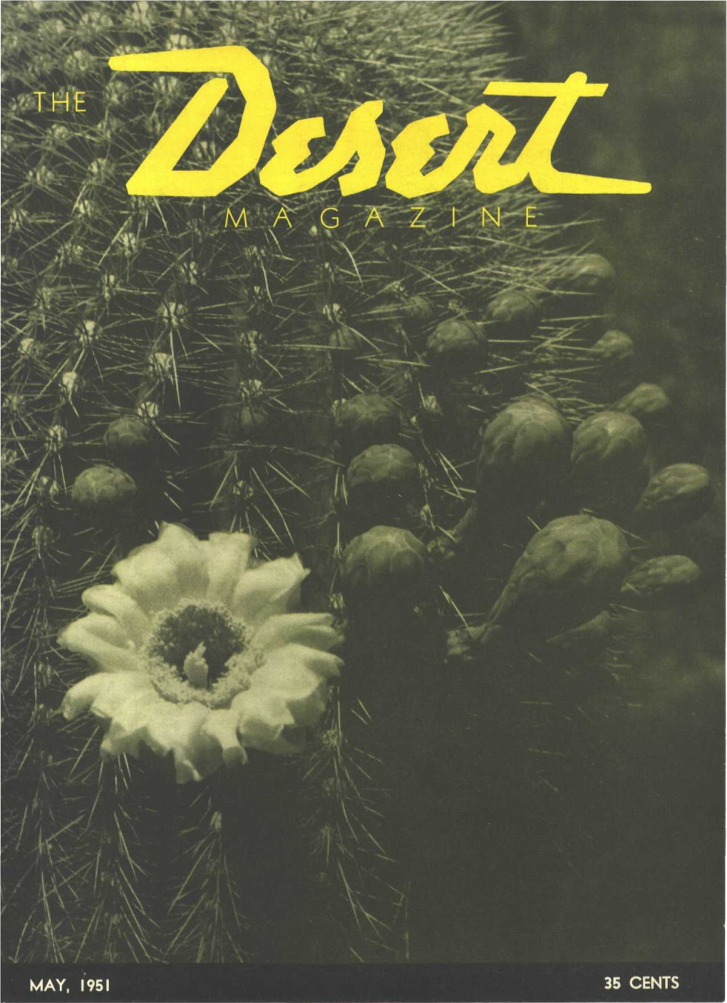 Desert Magazine 1951