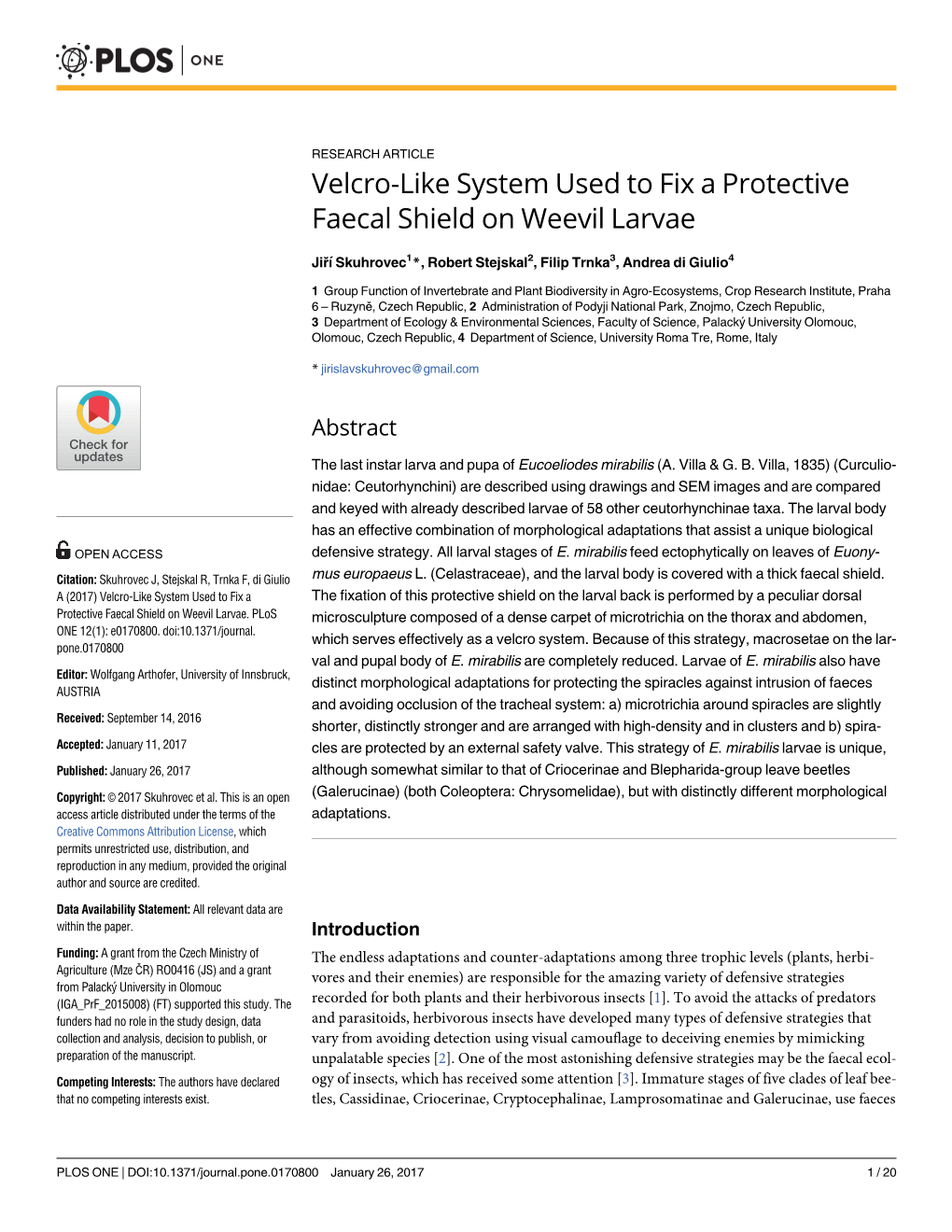 Velcro-Like System Used to Fix a Protective Faecal Shield on Weevil Larvae