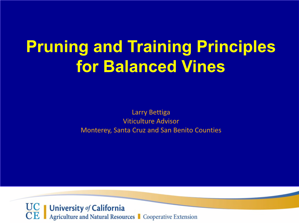 Pruning and Training Principles for Balanced Vines Your Headline Here in Calibri