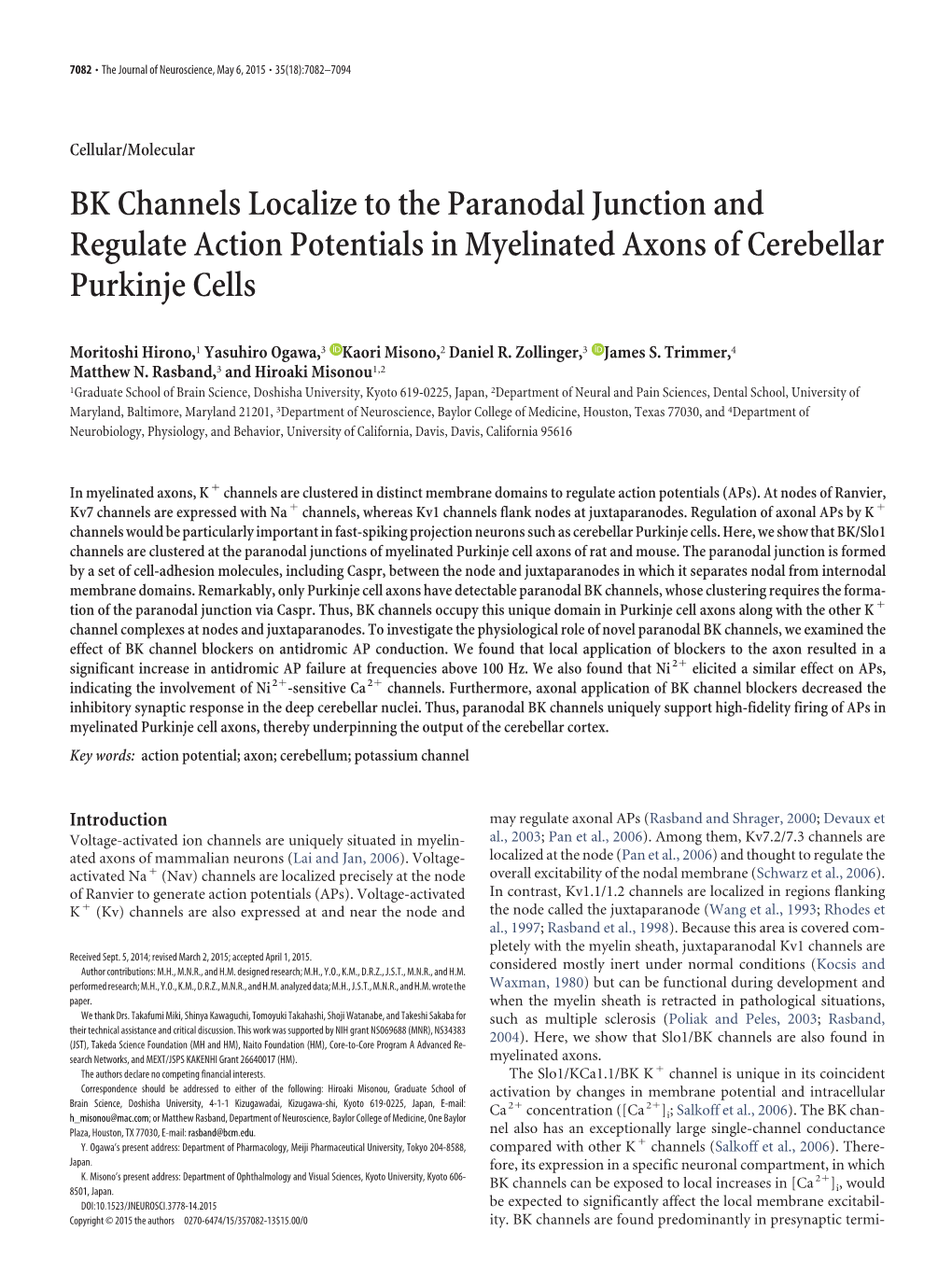 BK Channels Localize to the Paranodal Junction and Regulate Action Potentials in Myelinated Axons of Cerebellar Purkinje Cells