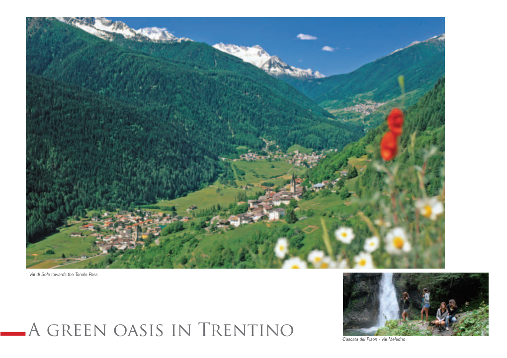 A Green Oasis in Trentino