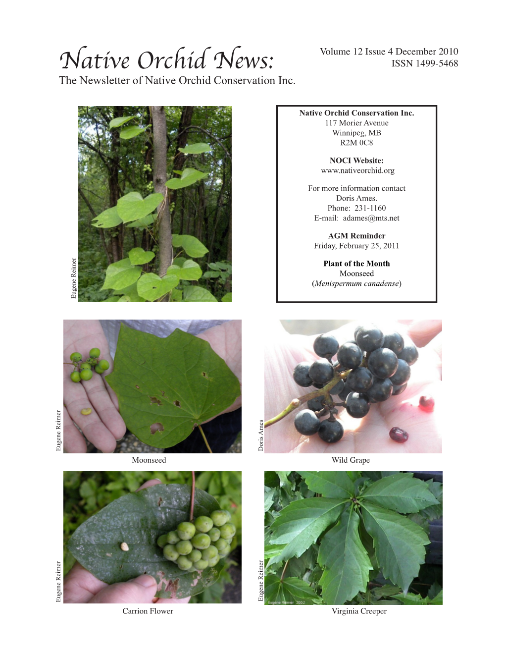 Native Orchid News: ISSN 1499-5468 the Newsletter of Native Orchid Conservation Inc