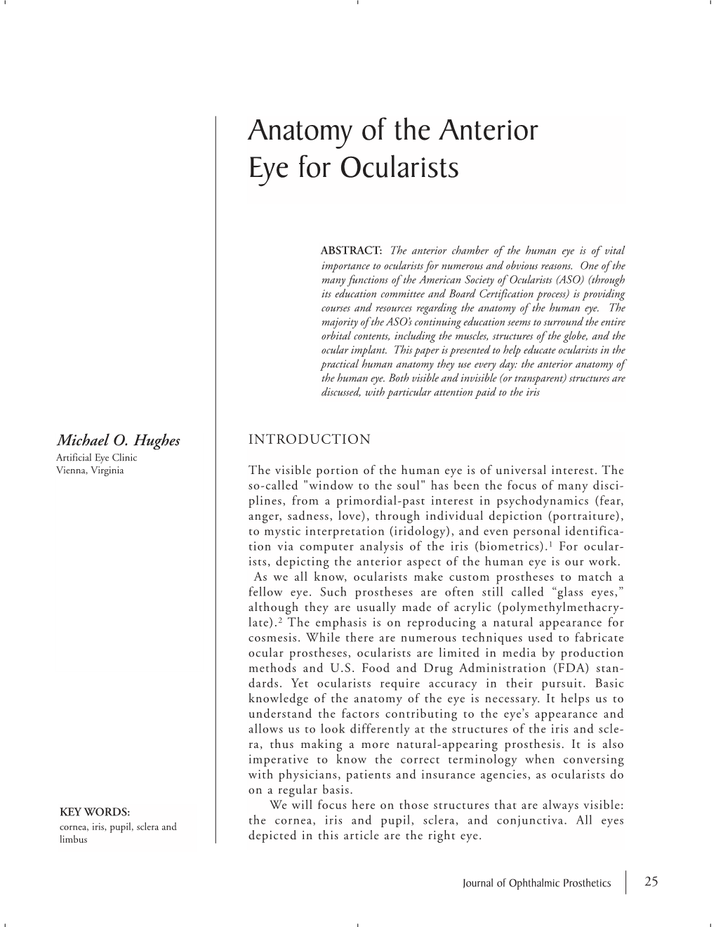 Anatomy of the Anterior Eye for Ocularists