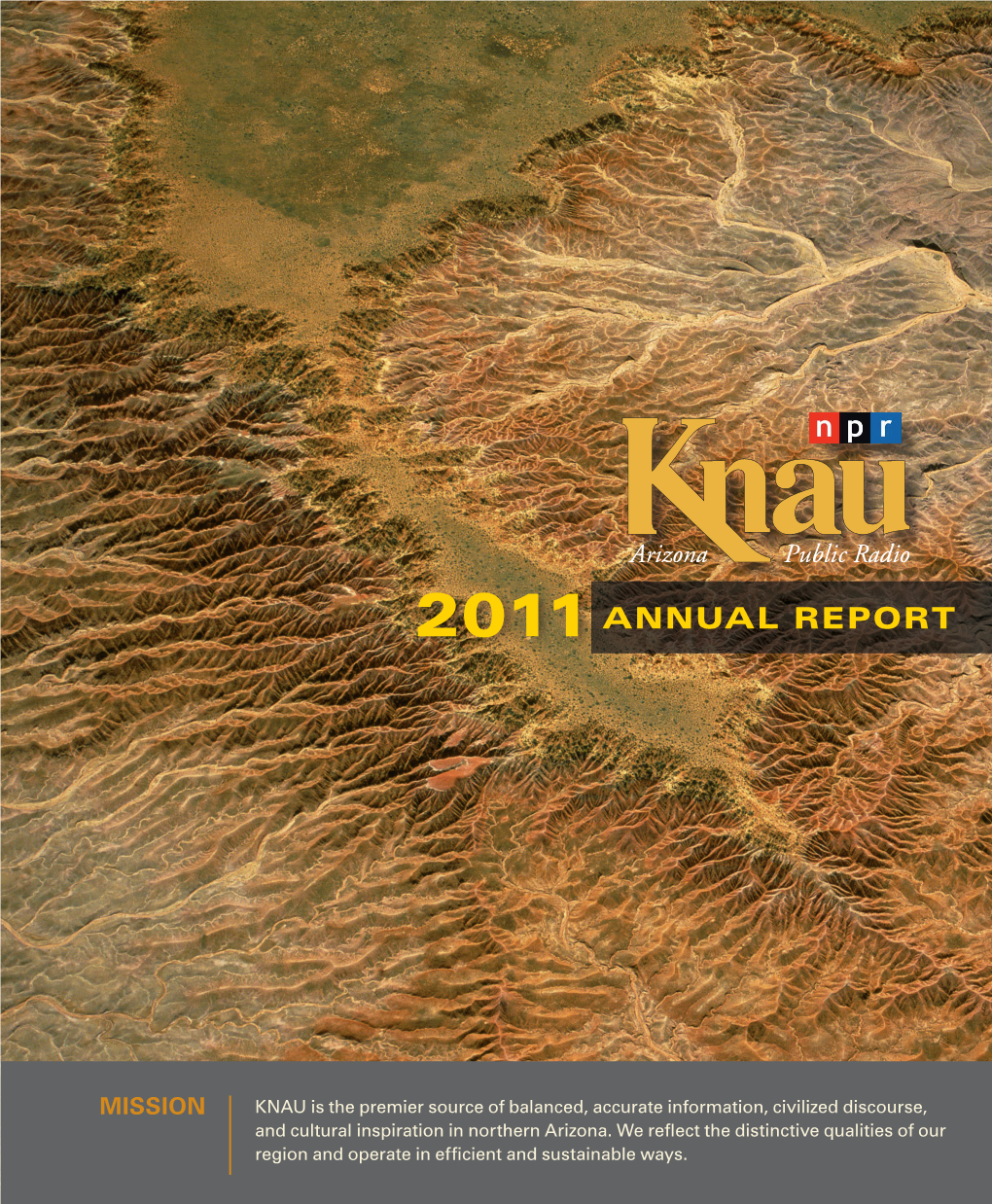 2011Annual Report