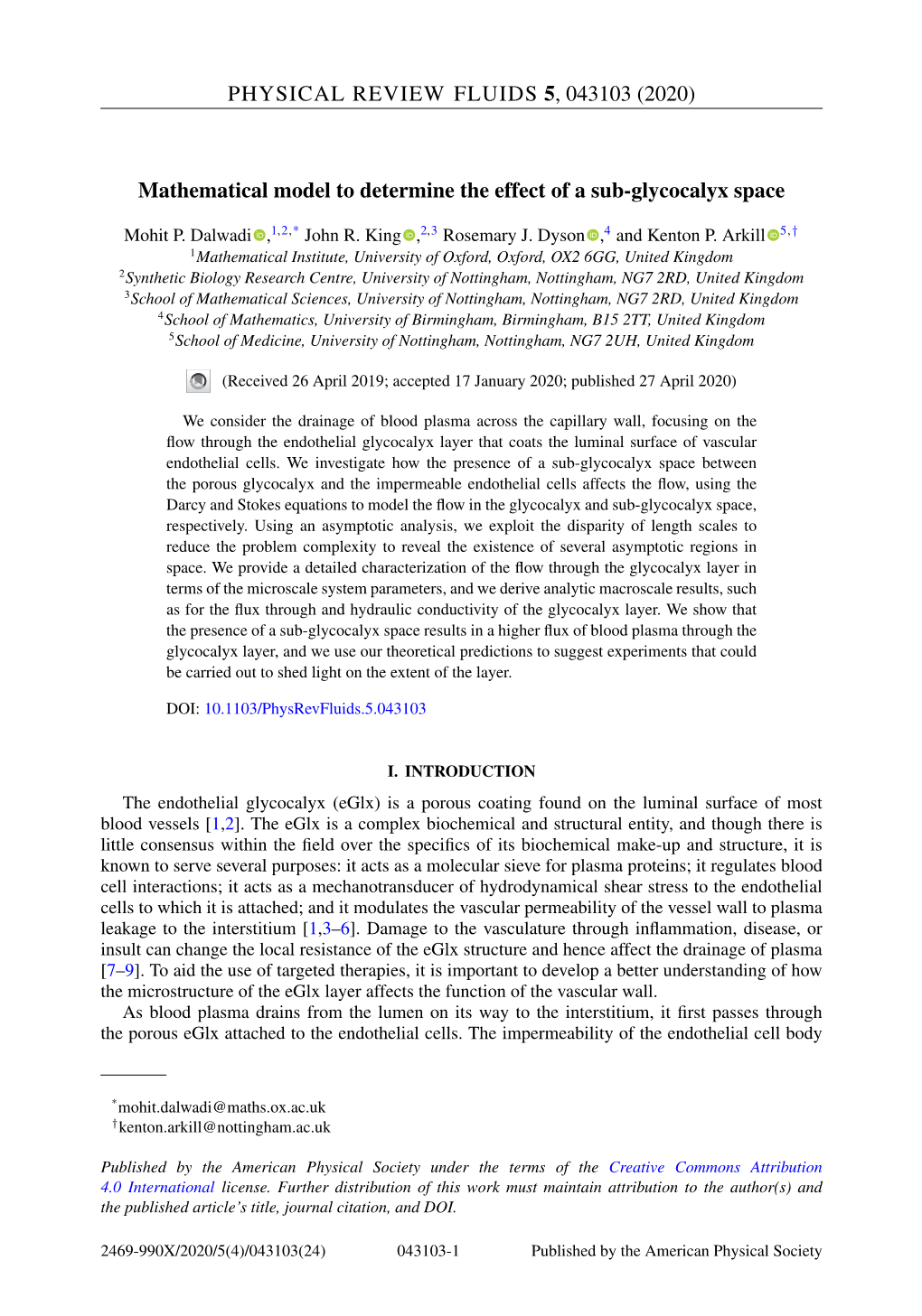 Mathematical Model to Determine the Effect of a Sub-Glycocalyx Space