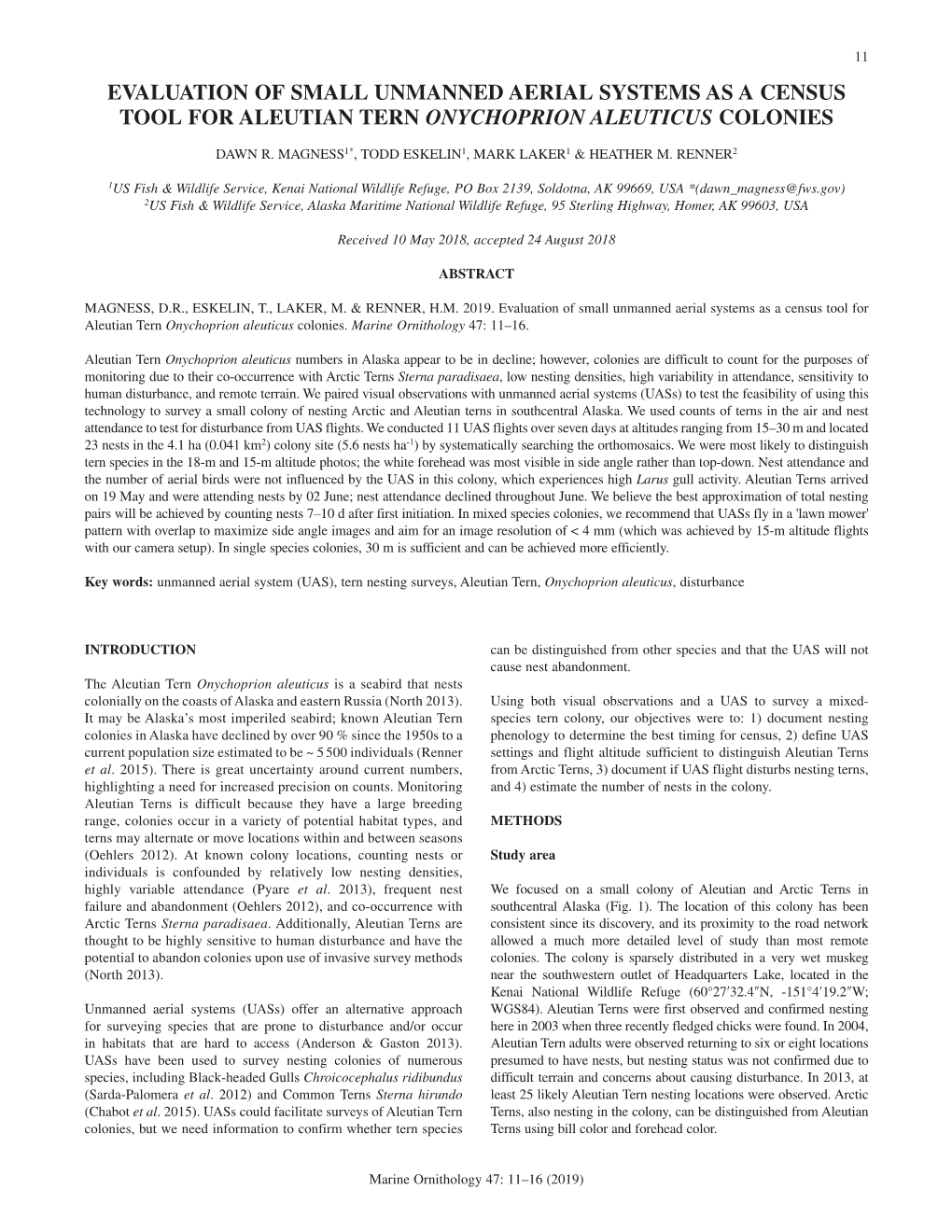 Evaluation of Small Unmanned Aerial Systems As a Census Tool for Aleutian Tern Onychoprion Aleuticus Colonies