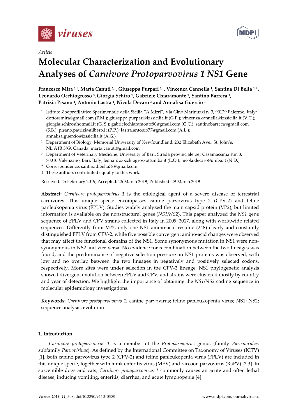 Molecular Characterization and Evolutionary Analyses of Carnivore Protoparvovirus 1 NS1 Gene