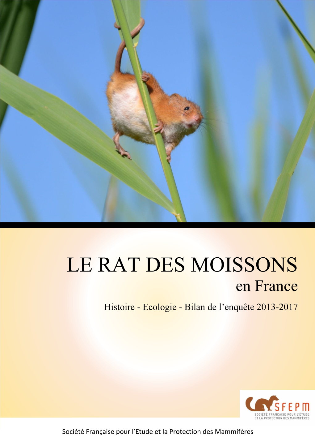 Le Rat Des Moissons