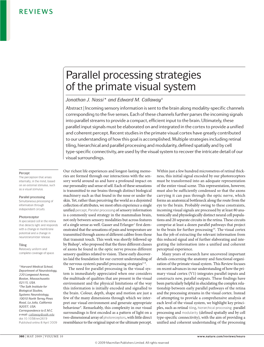 Parallel Processing Strategies of the Primate Visual System