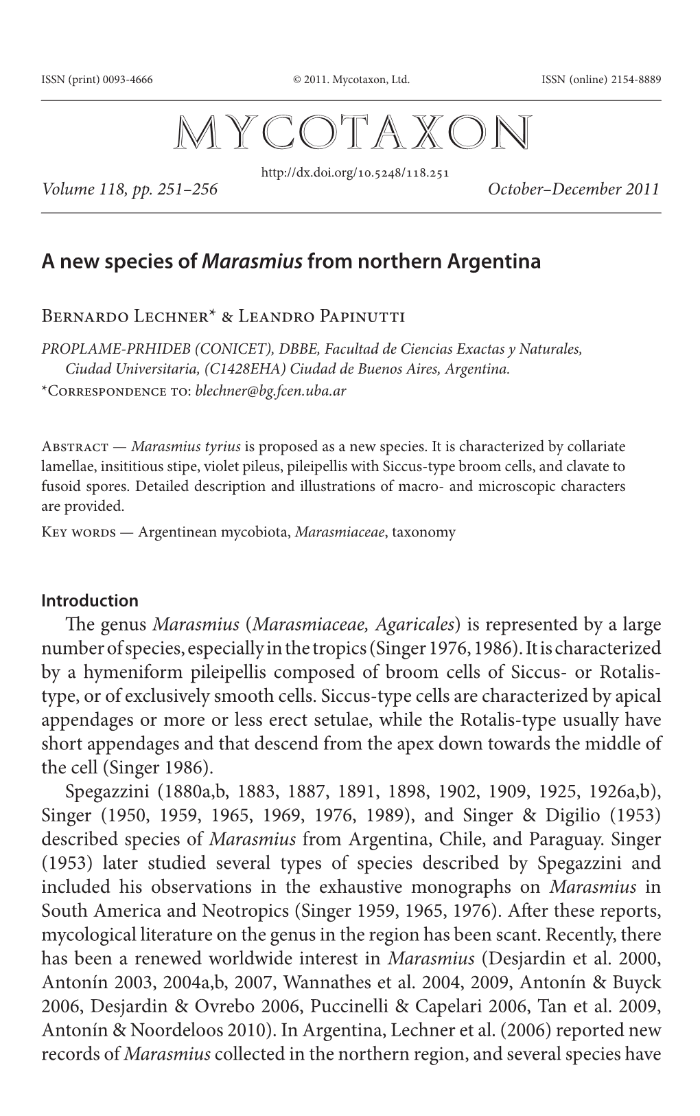 &lt;I&gt;Marasmius&lt;/I&gt; from Northern Argentina