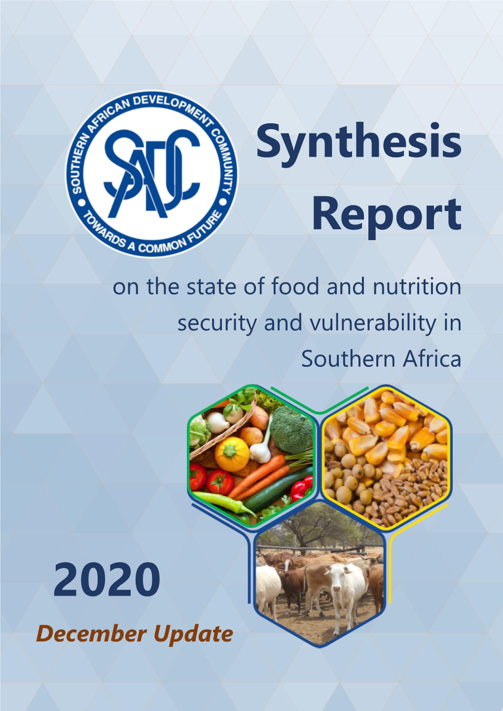 Synthesis Report on the State of Food and Nutrition and Vulnerability In