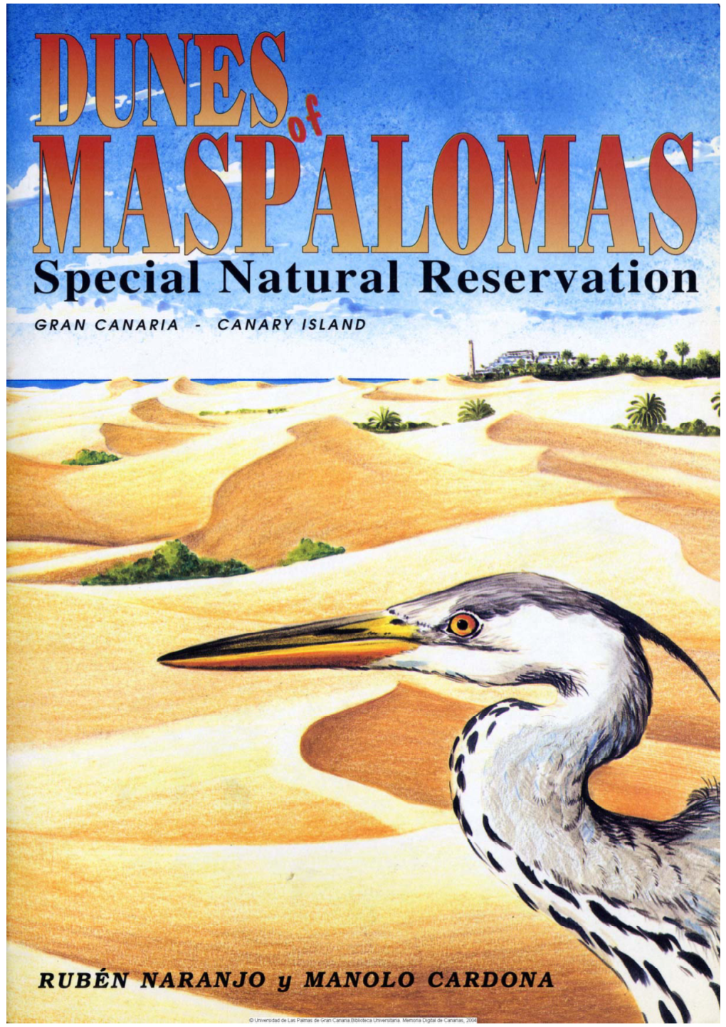 Dunes of Maspalomas: Special Natural Reservation